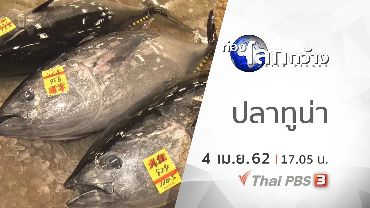 ตามรอยตลาดสึกิจิ ตอน ปลาทูน่า (มากุโระ)