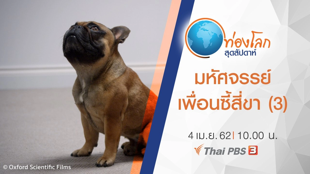 มหัศจรรย์เพื่อนซี้สี่ขา ตอนที่ 3