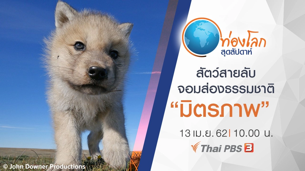 สัตว์สายลับจอมส่องธรรมชาติ ตอน มิตรภาพ