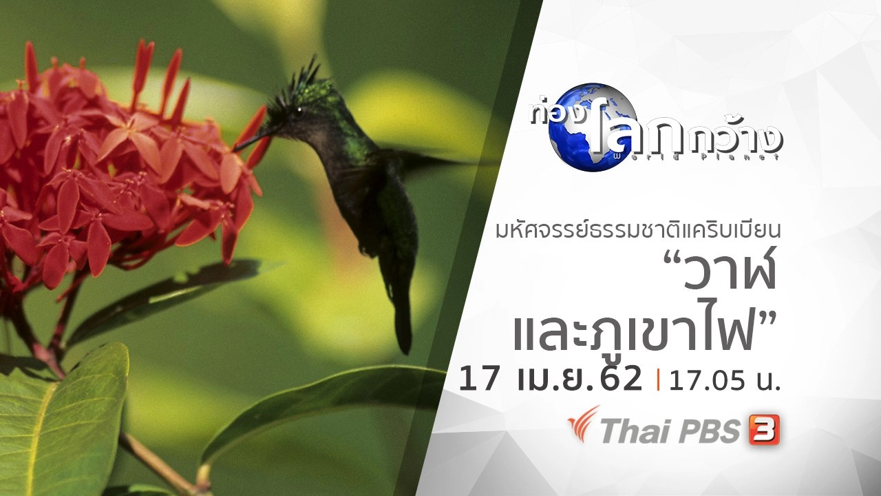 มหัศจรรย์ธรรมชาติแคริบเบียน ตอน วาฬและภูเขาไฟ