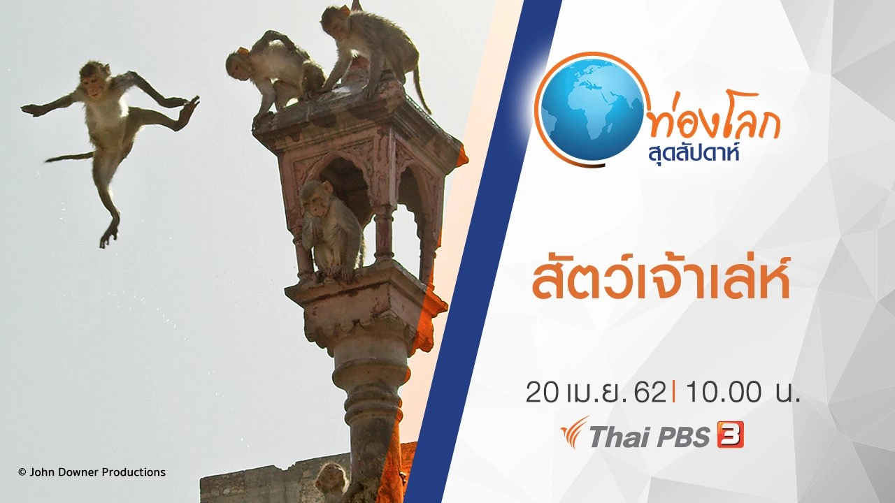 สัตว์สายลับจอมส่องธรรมชาติ ตอน พบกับสัตว์เจ้าเล่ห์