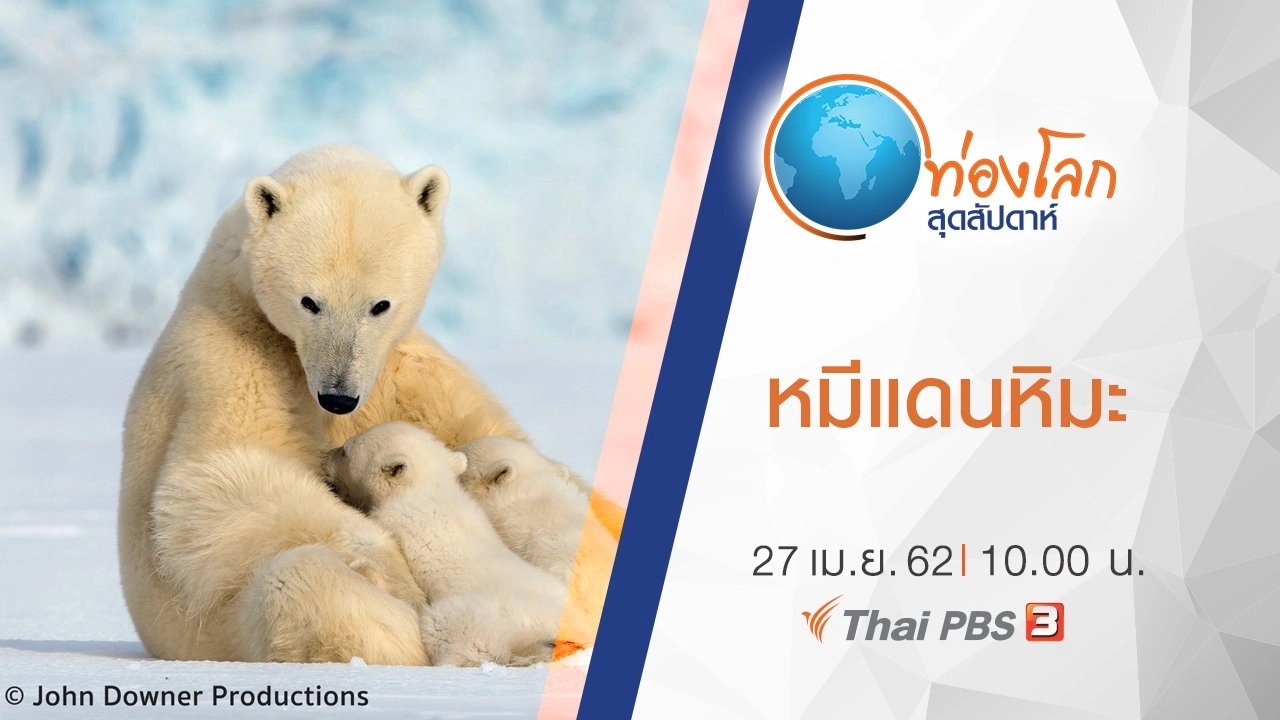 หมีแดนหิมะ