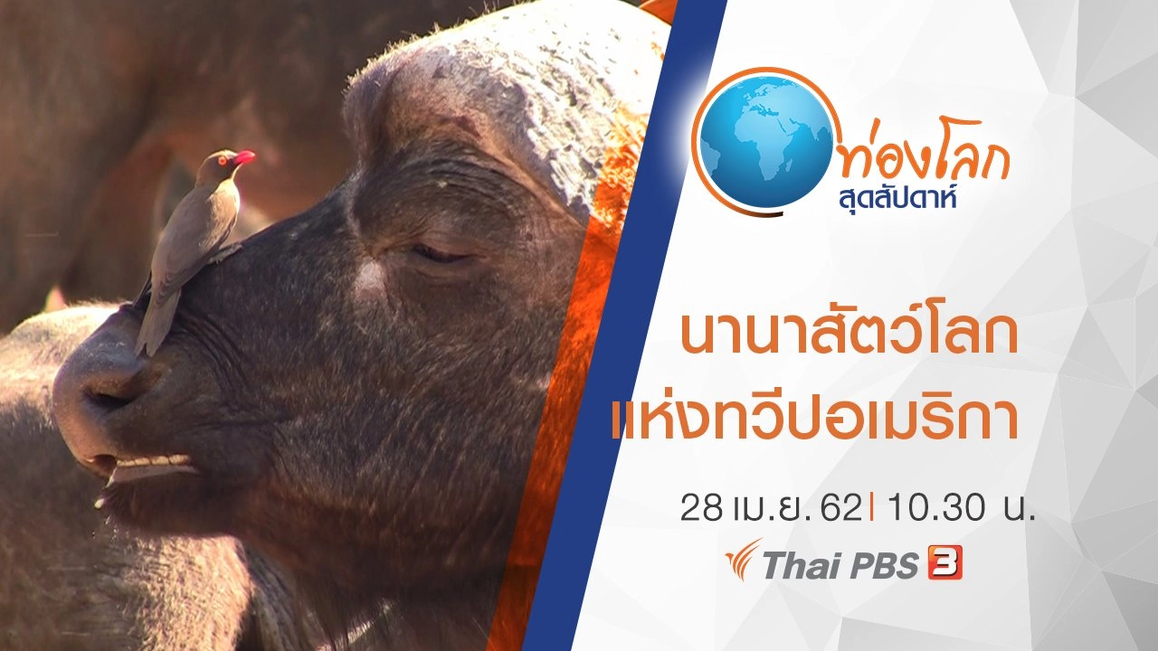 เปิดโลกสัตว์หรรษา ตอน นานาสัตว์โลกแห่งทวีปอเมริกา