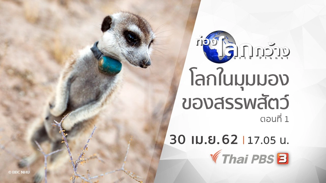 โลกในมุมมองของสรรพสัตว์ ตอนที่ 1