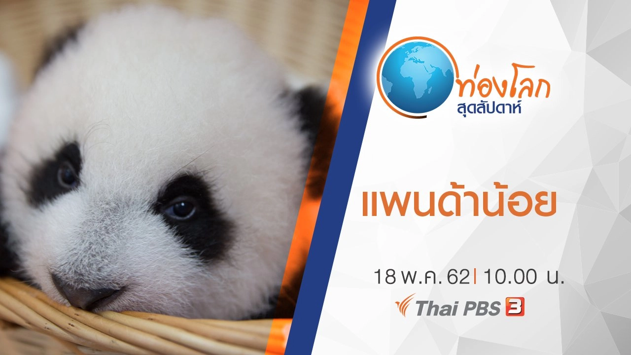 แพนด้าน้อย