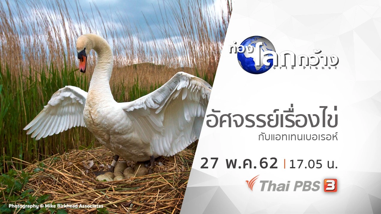 อัศจรรย์เรื่องไข่กับแอทเทนเบอเรอห์