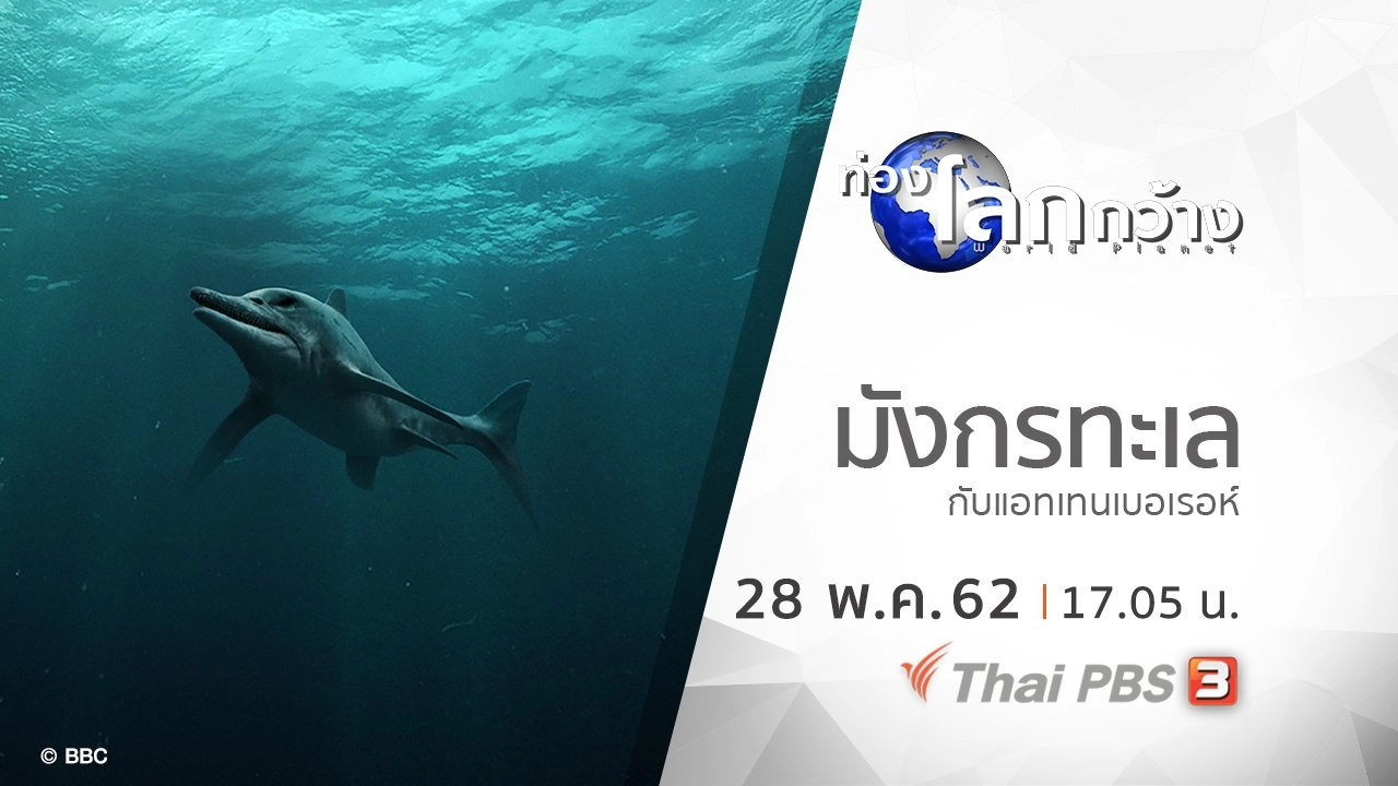 มังกรทะเลกับแอทเทนเบอเรอห์