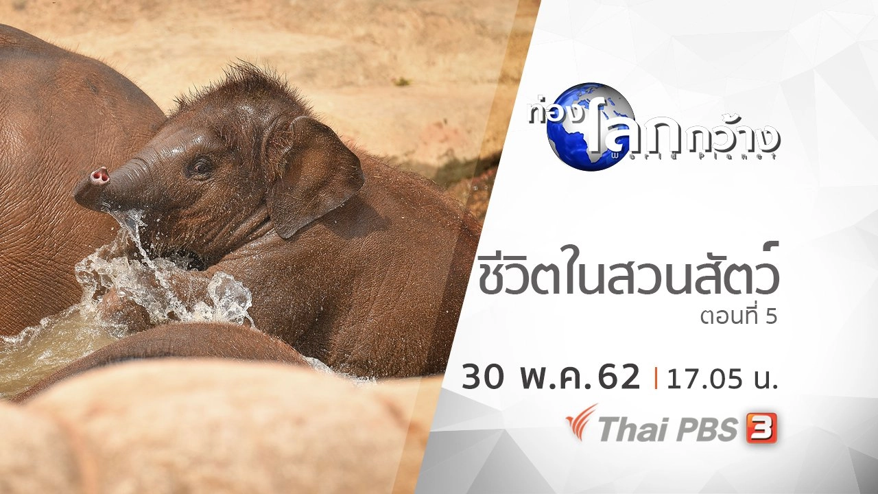 ชีวิตในสวนสัตว์ ตอนที่ 5