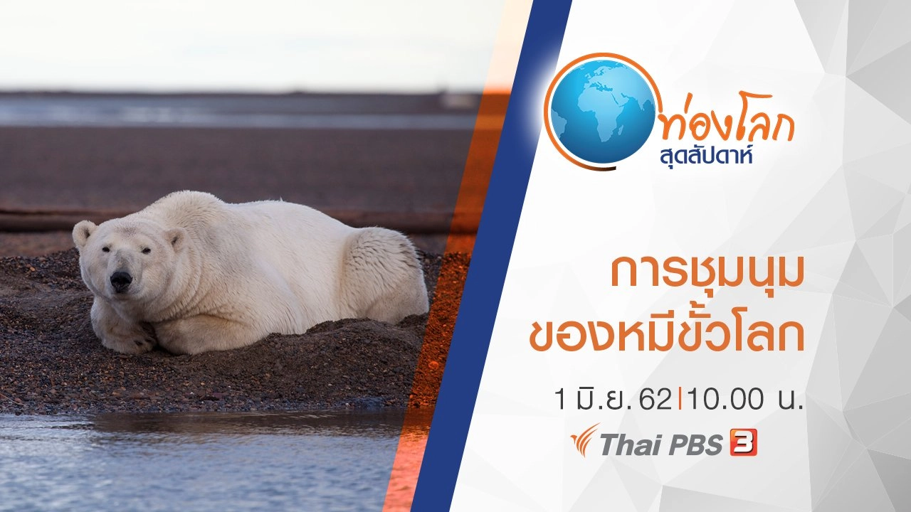 การชุมนุมของหมีขั้วโลก