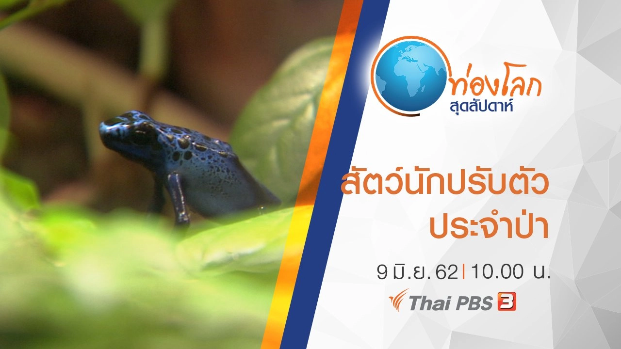 เปิดโลกสัตว์หรรษา ตอน สัตว์นักปรับตัวประจำป่า