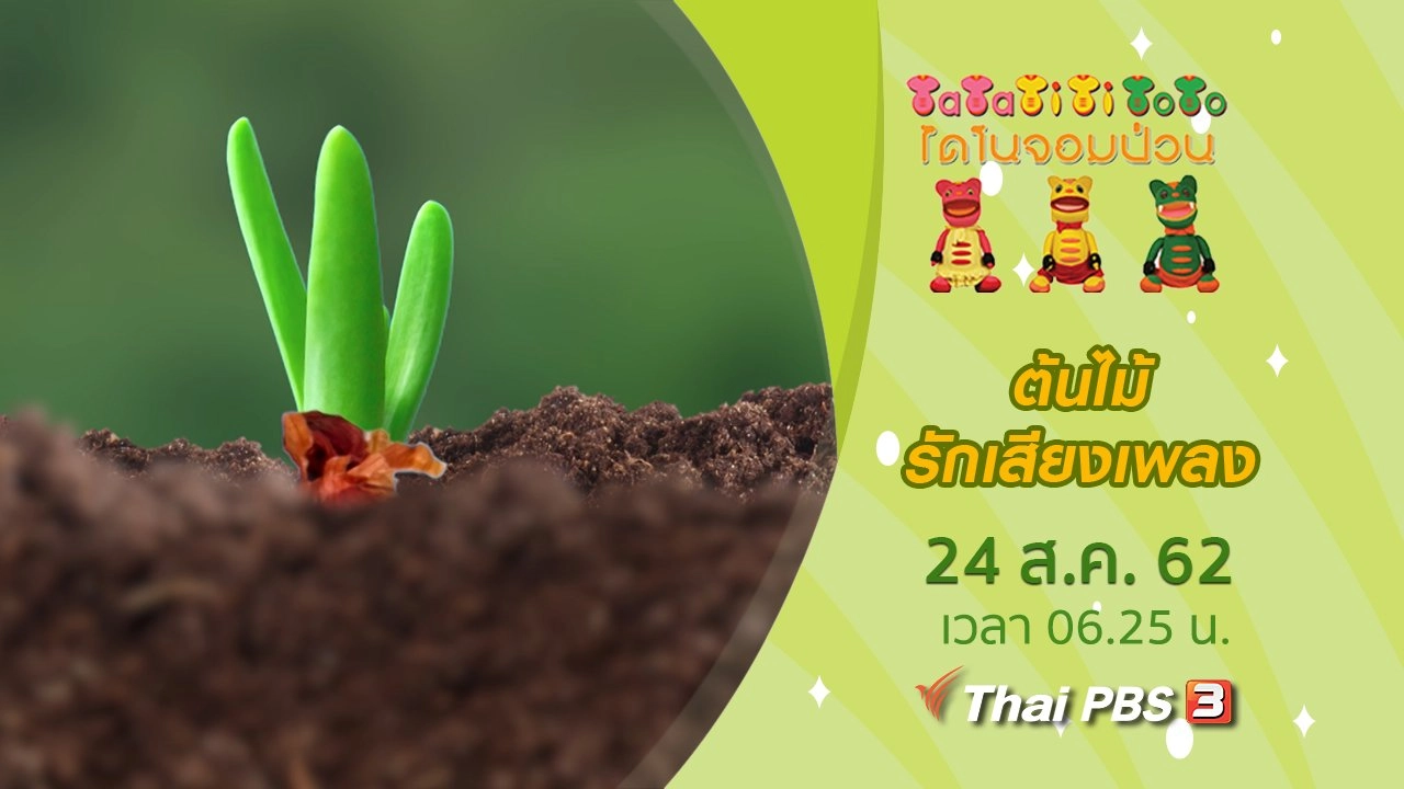 ต้นไม้รักเสียงเพลง