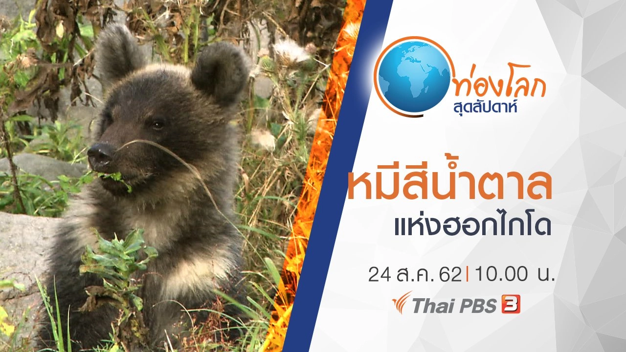 หมีสีน้ำตาลแห่งฮอกไกโด