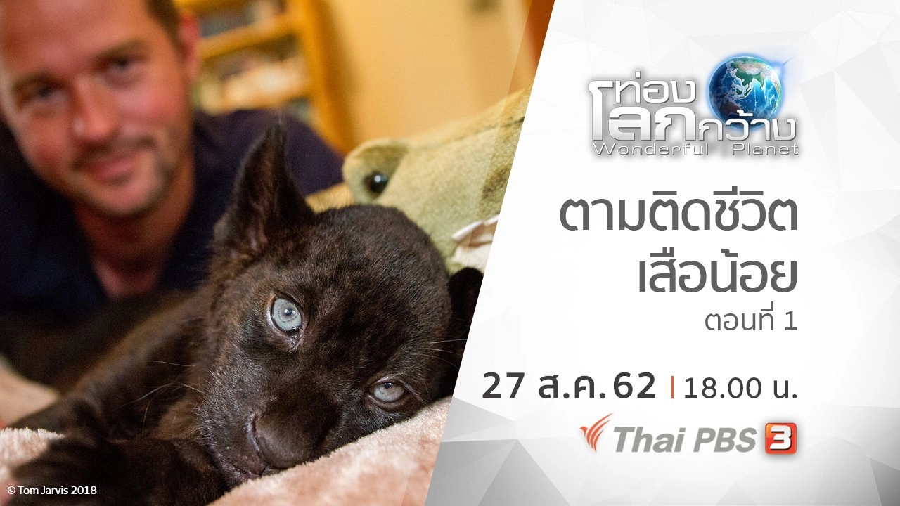 ตามติดชีวิตเสือน้อย ตอนที่ 1