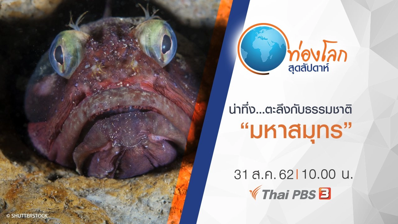 น่าทึ่ง...ตะลึงกับธรรมชาติ ตอน มหาสมุทร และการเดินทางที่ยิ่งใหญ่ที่สุดในโลก