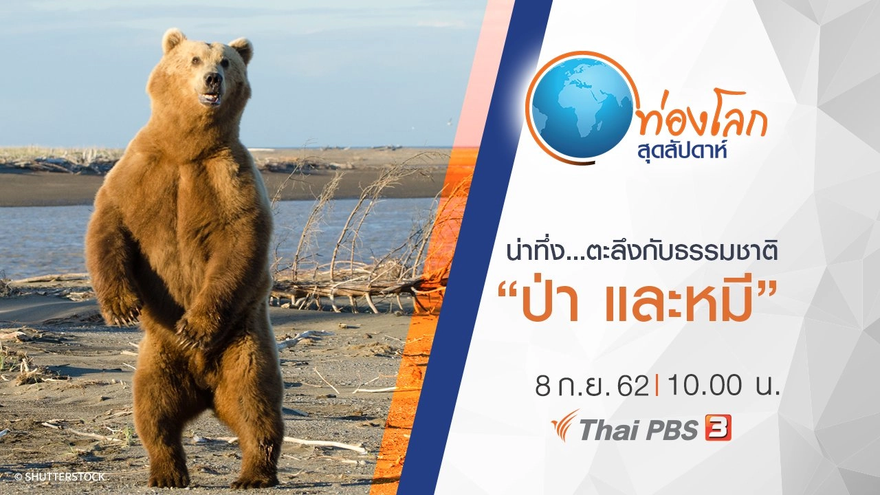 น่าทึ่ง...ตะลึงกับธรรมชาติ ตอน ป่า และหมี