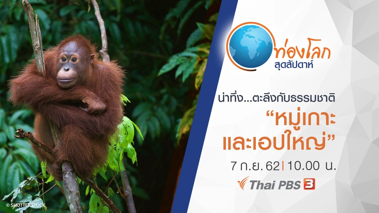 น่าทึ่ง...ตะลึงกับธรรมชาติ ตอน หมู่เกาะ และเอปใหญ่