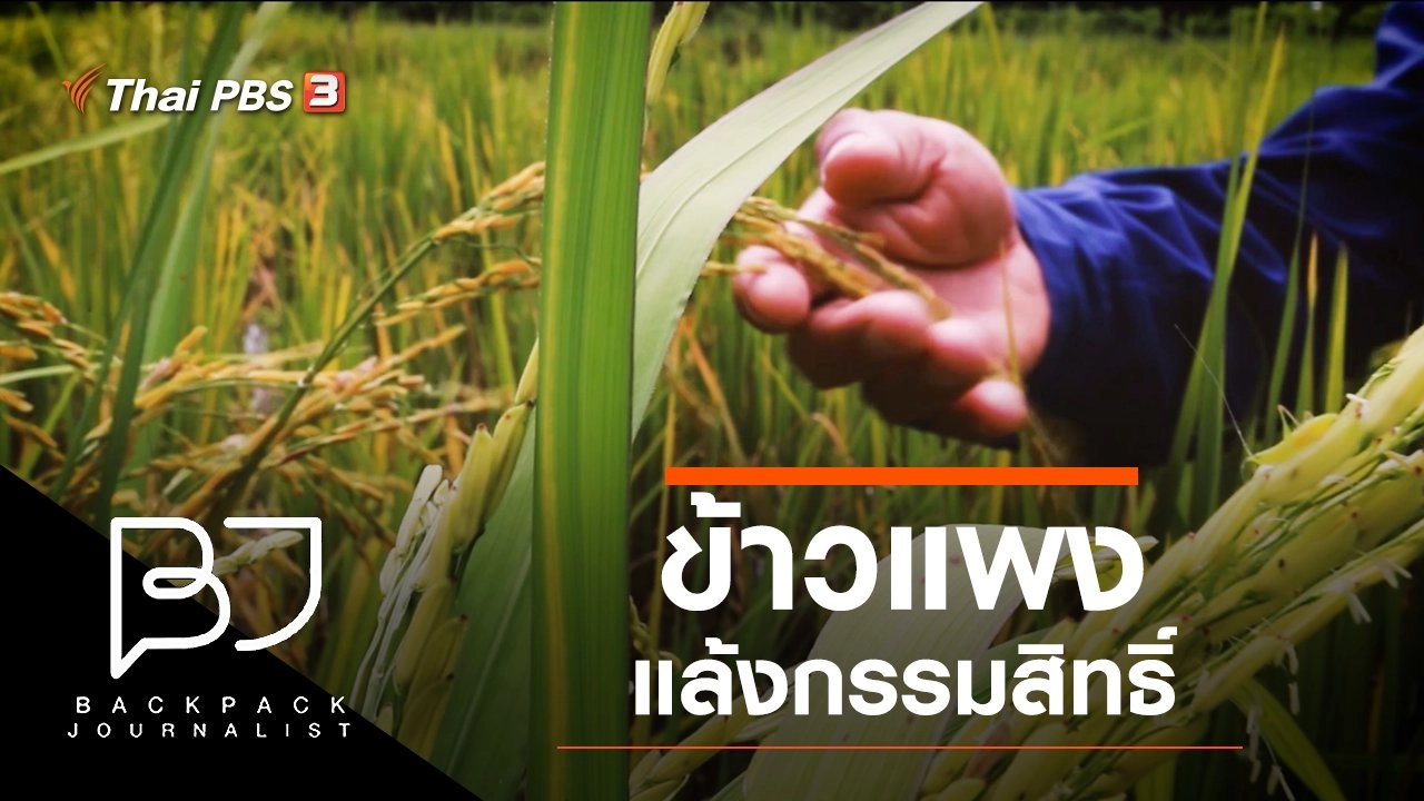 ข้าวแพง แล้งกรรมสิทธิ์