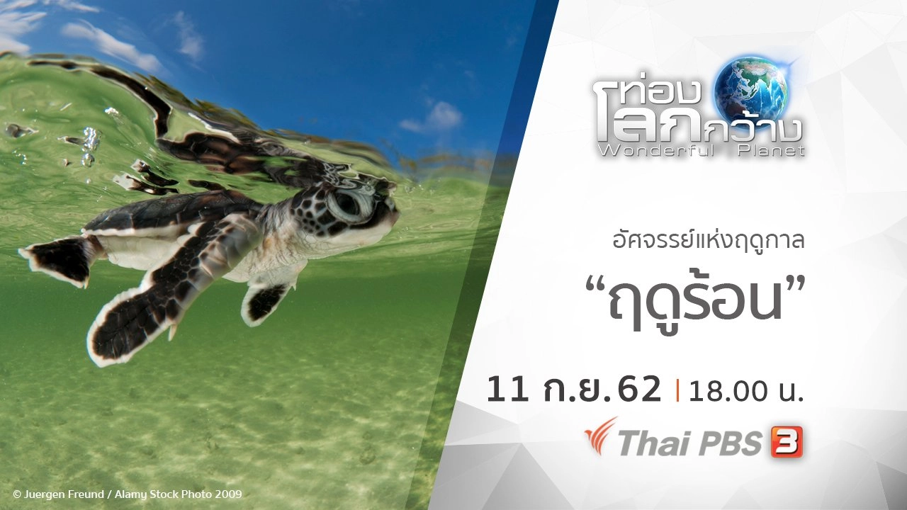 อัศจรรย์แห่งฤดูกาล ตอน ฤดูร้อน