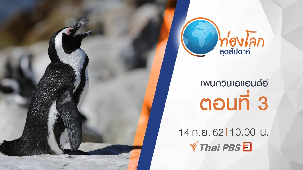 เพนกวินเอแอนด์อี ตอนที่ 3