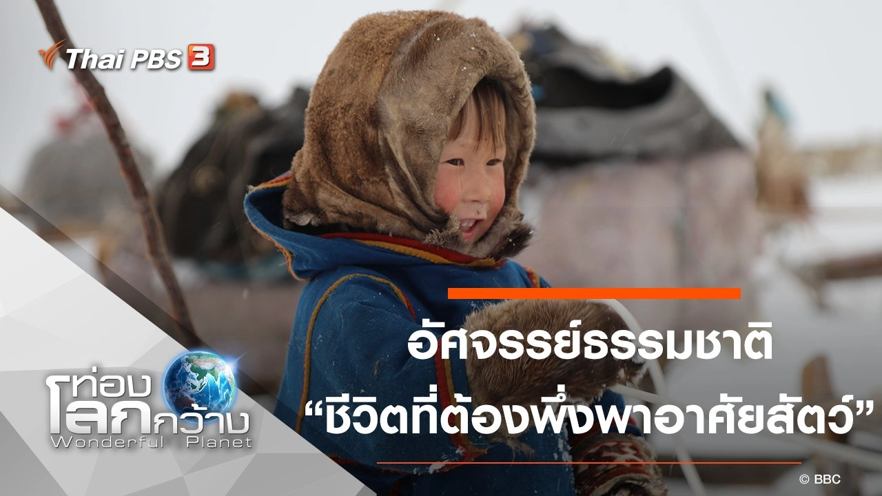 อัศจรรย์ธรรมชาติ ตอน ชีวิตที่ต้องพึ่งพาอาศัยสัตว์