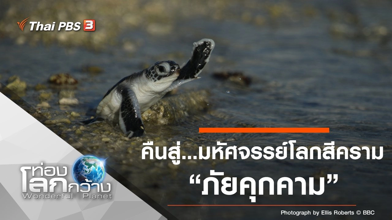 คืนสู่...มหัศจรรย์โลกสีคราม ตอน ภัยคุกคาม