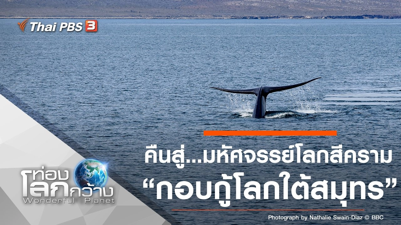 คืนสู่...มหัศจรรย์โลกสีคราม ตอน กอบกู้โลกใต้สมุทร