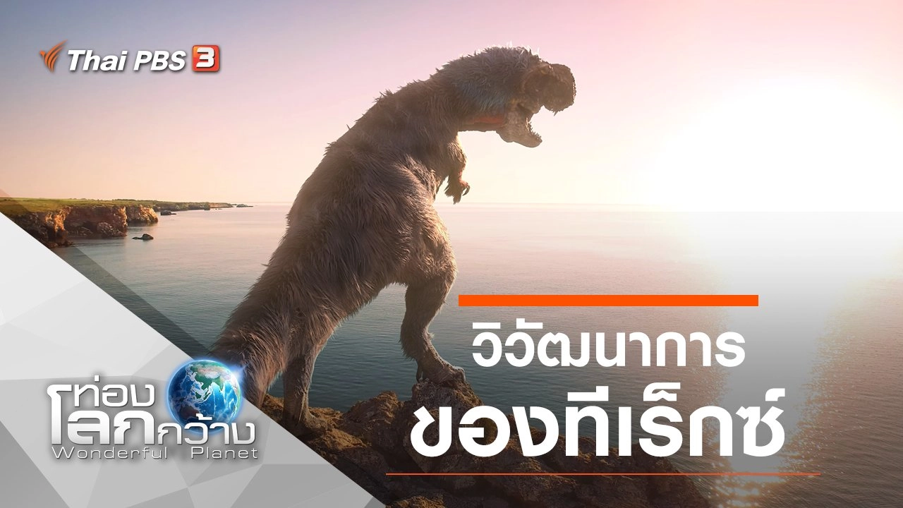 วิวัฒนาการของทีเร็กซ์