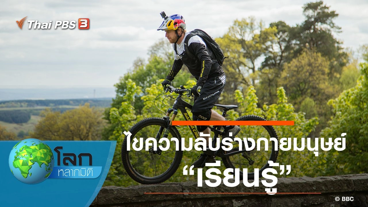 ไขความลับร่างกายมนุษย์ ตอน เรียนรู้