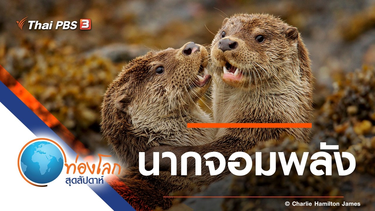 นากจอมพลัง