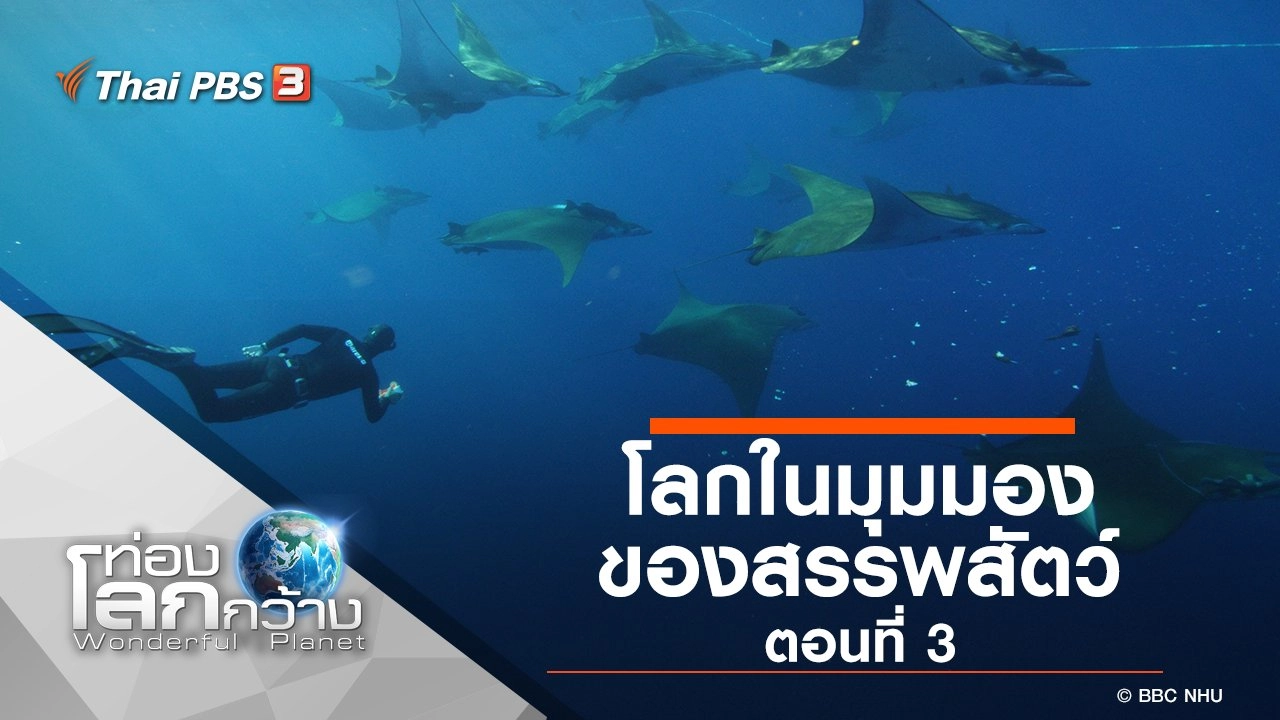 โลกในมุมมองของสรรพสัตว์ ตอนที่ 3