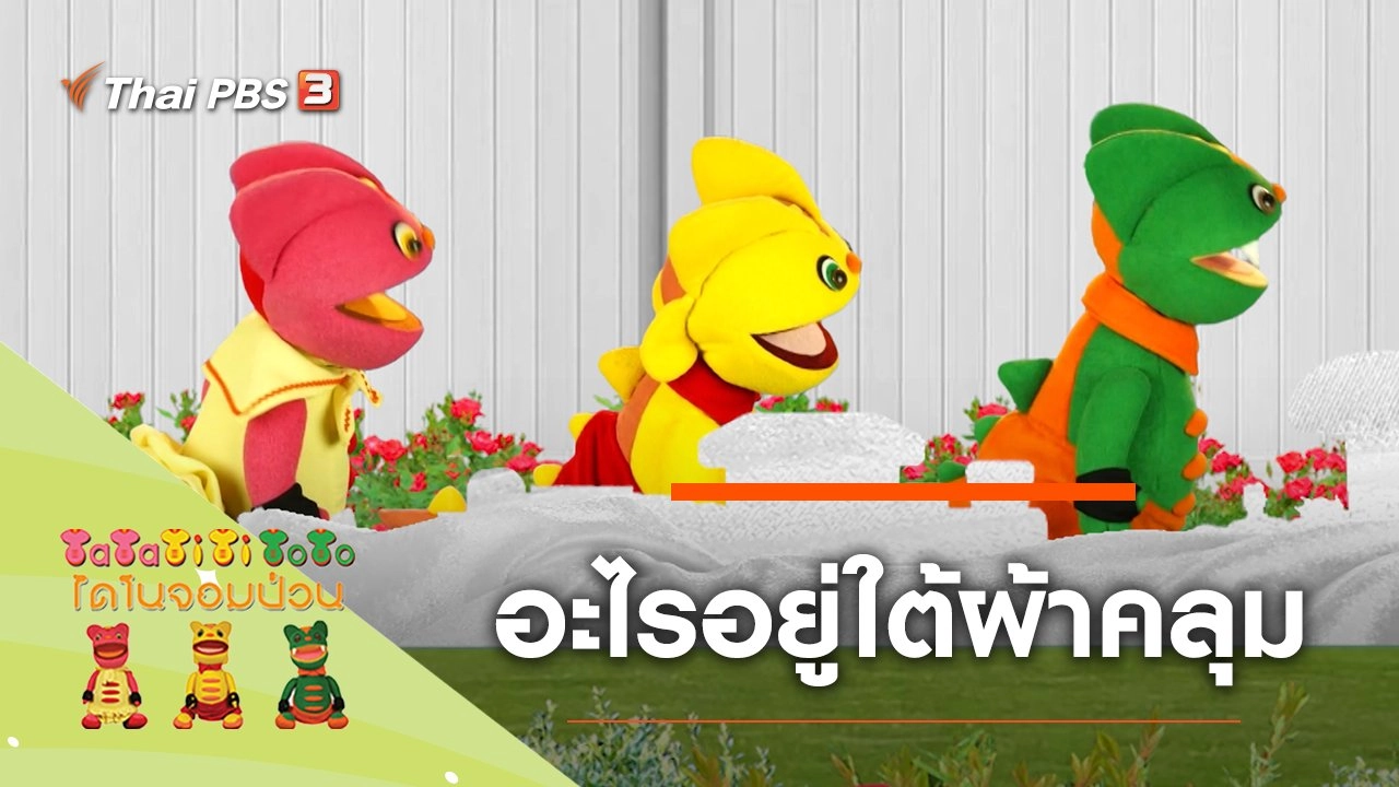 อะไรอยู่ใต้ผ้าคลุม