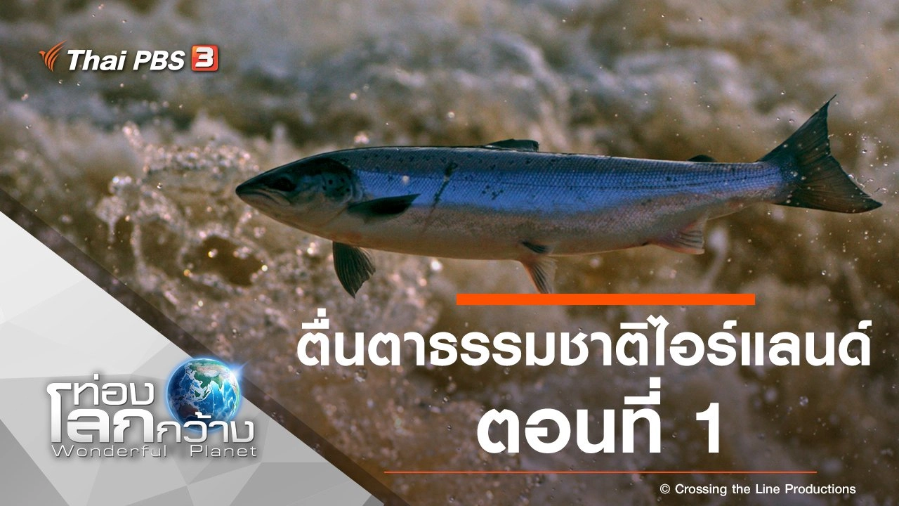 ตื่นตาธรรมชาติไอร์แลนด์ ตอนที่ 1