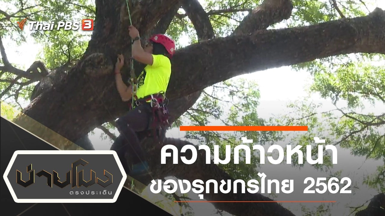 ประเด็นข่าว (25 ธ.ค. 62)