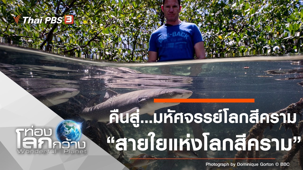 คืนสู่...มหัศจรรย์โลกสีคราม ตอน สายใยแห่งโลกสีคราม