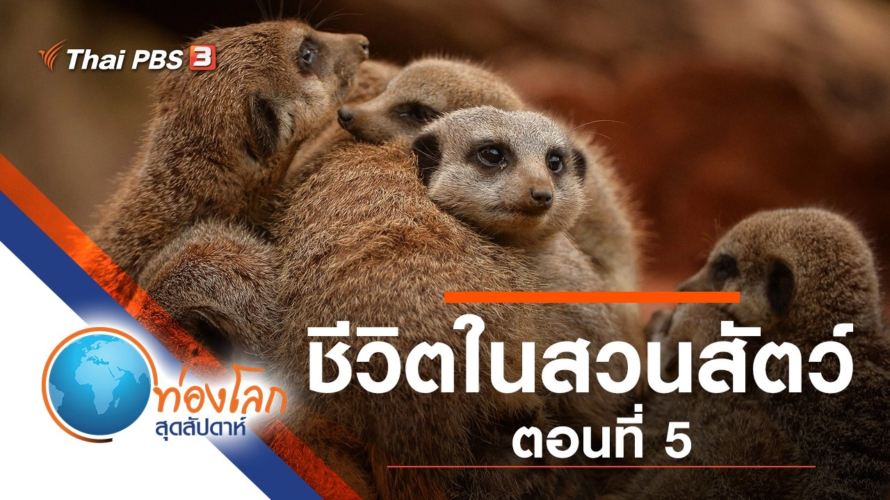ชีวิตในสวนสัตว์ ตอนที่ 5