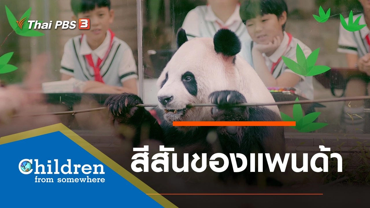ซีรีส์เด็กนานาชาติ : สีสันของแพนด้า