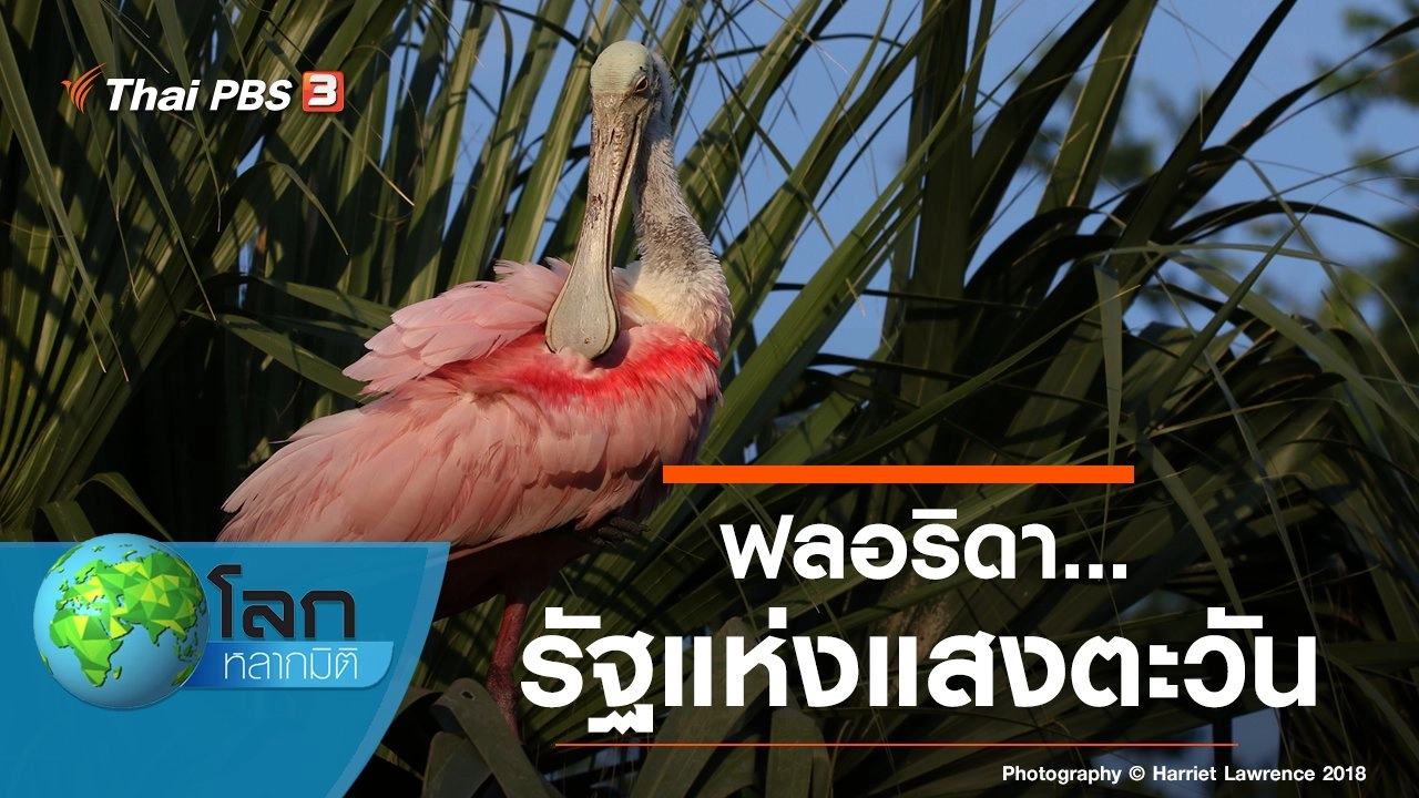 ฟลอริดา...รัฐแห่งแสงตะวัน