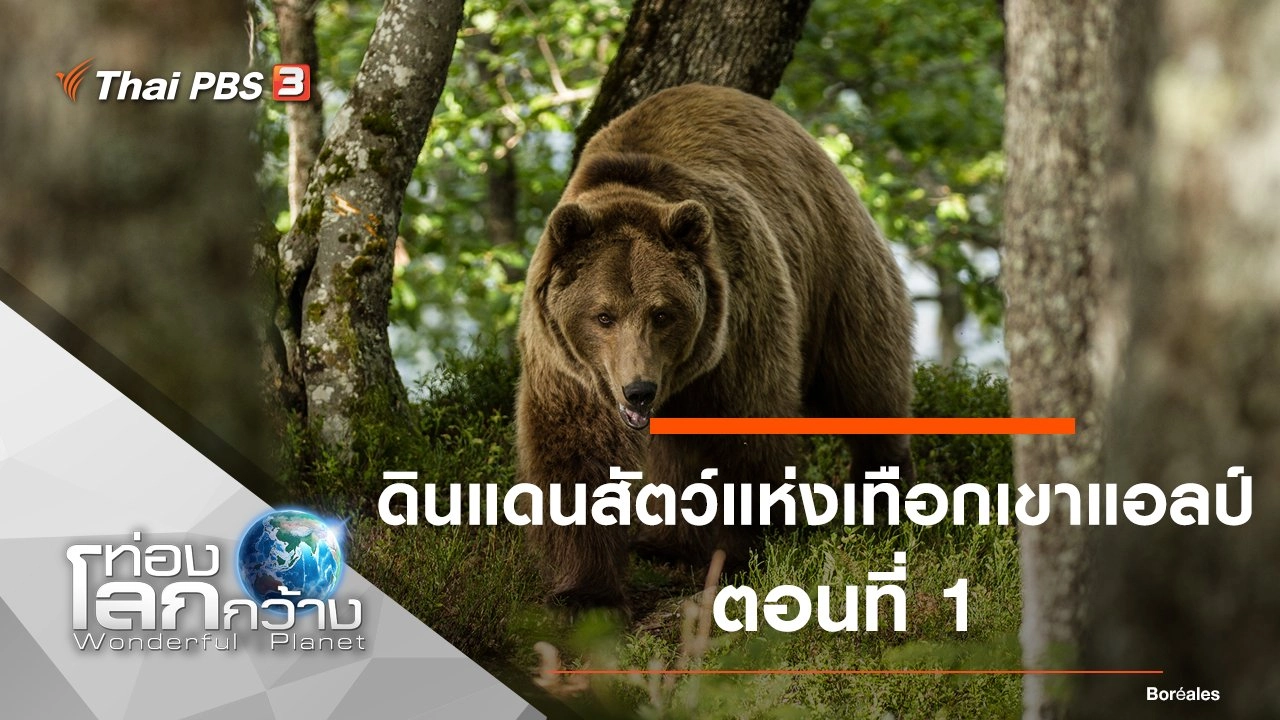 ดินแดนสัตว์แห่งเทือกเขาแอลป์ ตอนที่ 1