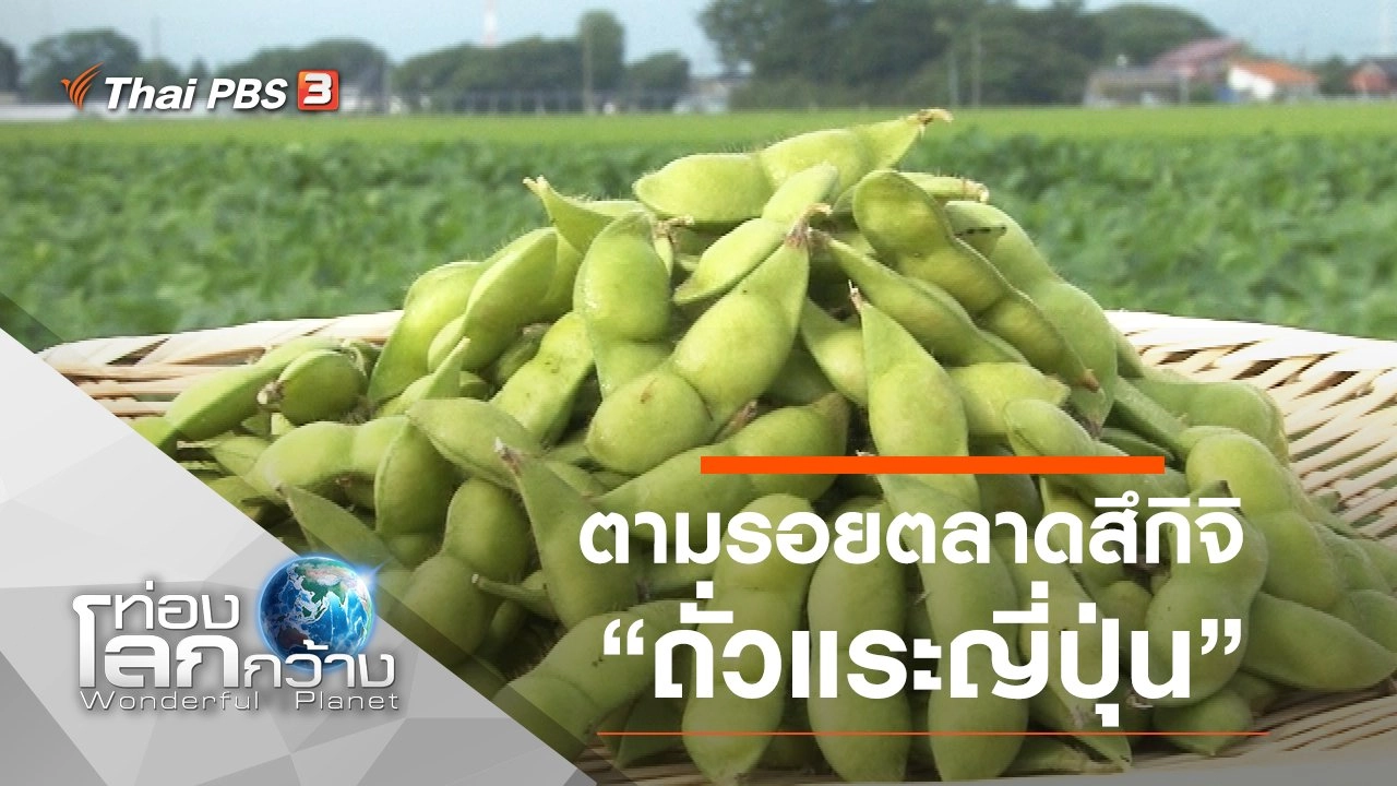 ตามรอยตลาดสึกิจิ ตอน ถั่วแระญี่ปุ่น