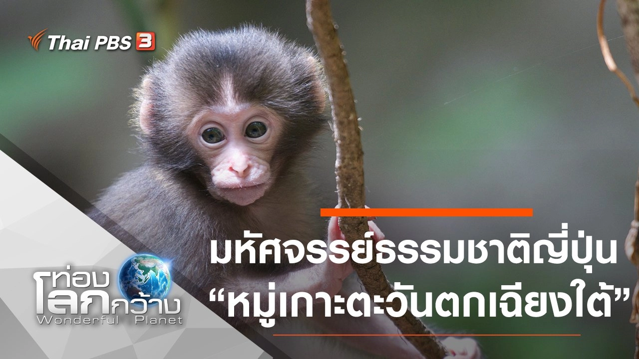 มหัศจรรย์ธรรมชาติญี่ปุ่น ตอน หมู่เกาะตะวันตกเฉียงใต้