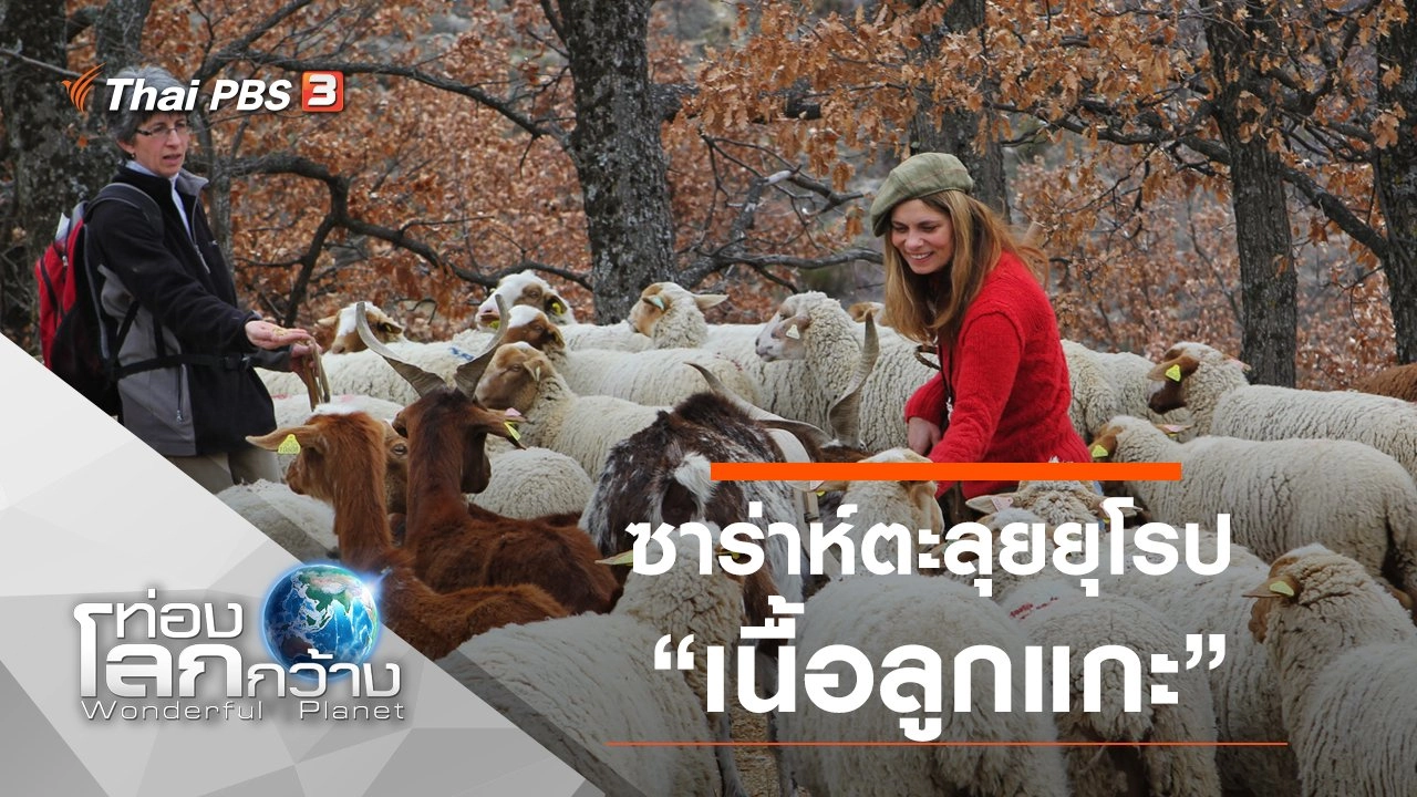 ซาร่าห์ตะลุยยุโรป ตอนที่ 8