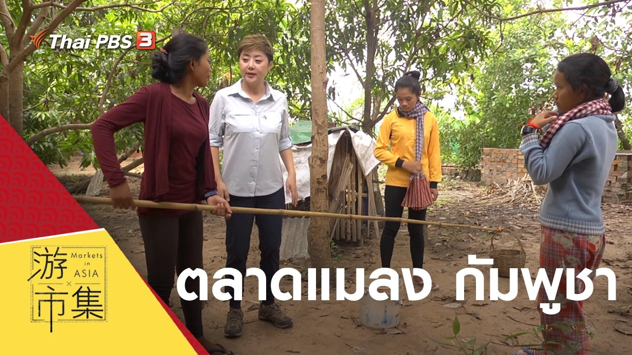 ตลาดแมลง กัมพูชา