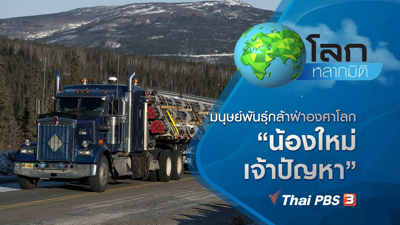 มนุษย์พันธุ์กล้าฝ่าองศาโลก ตอน น้องใหม่เจ้าปัญหา