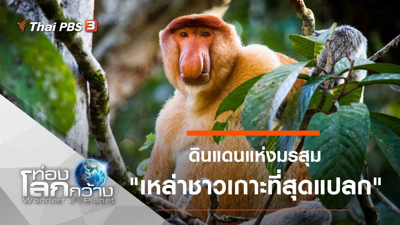 ดินแดนแห่งมรสุม ตอน เหล่าชาวเกาะที่สุดแปลก