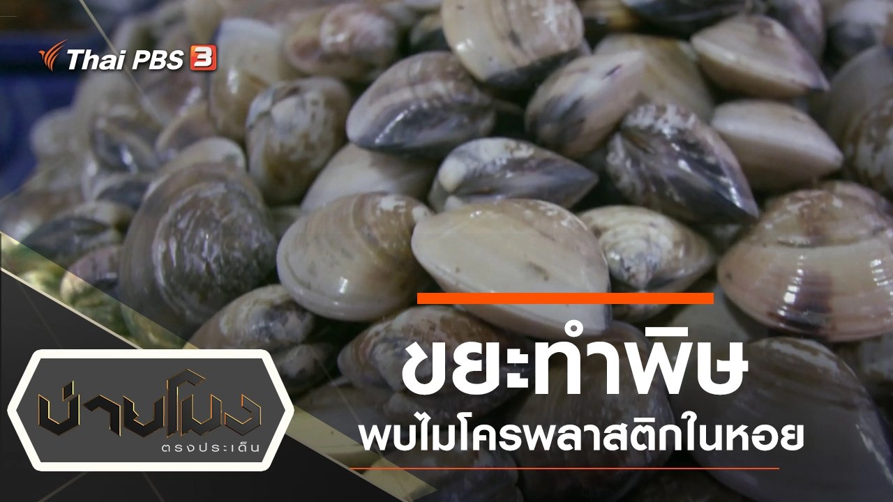 ประเด็นข่าว (25 ก.ย. 62)