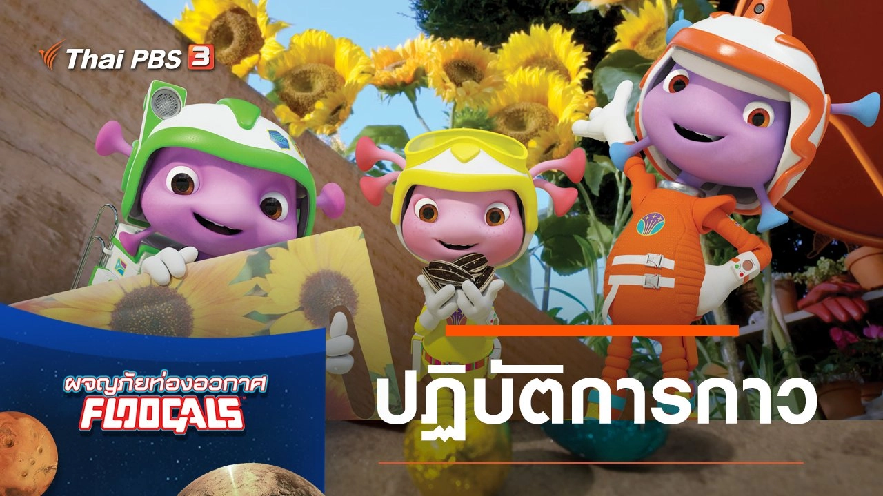 ปฏิบัติการกาว
