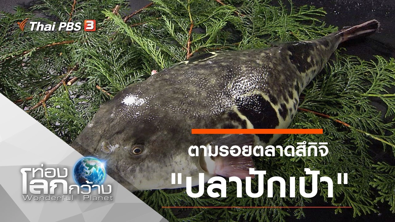 ตามรอยตลาดสึกิจิ ตอน ปลาปักเป้า