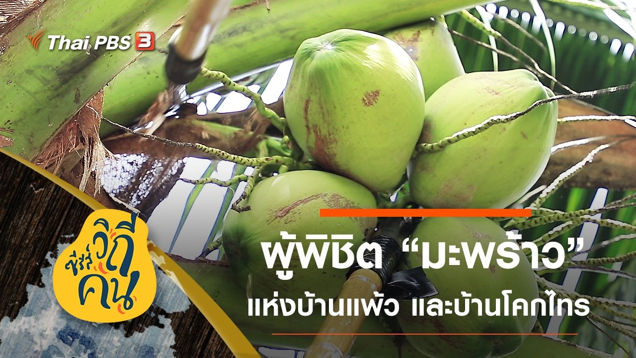 ผู้พิชิต "มะพร้าว"