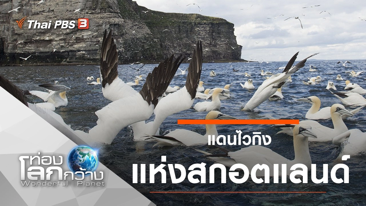 แดนไวกิงแห่งสกอตแลนด์