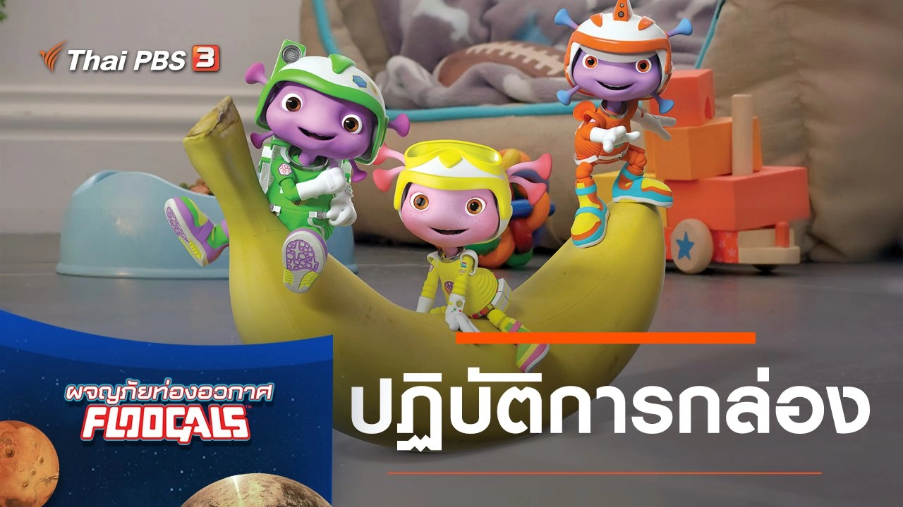 ปฏิบัติการกล่อง